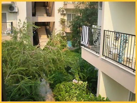 Dynasty ホテル 3*