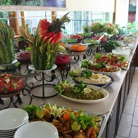 Dynasty فندق سيدي