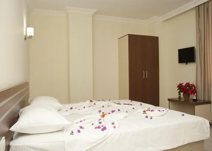 Dynasty ホテル シダ