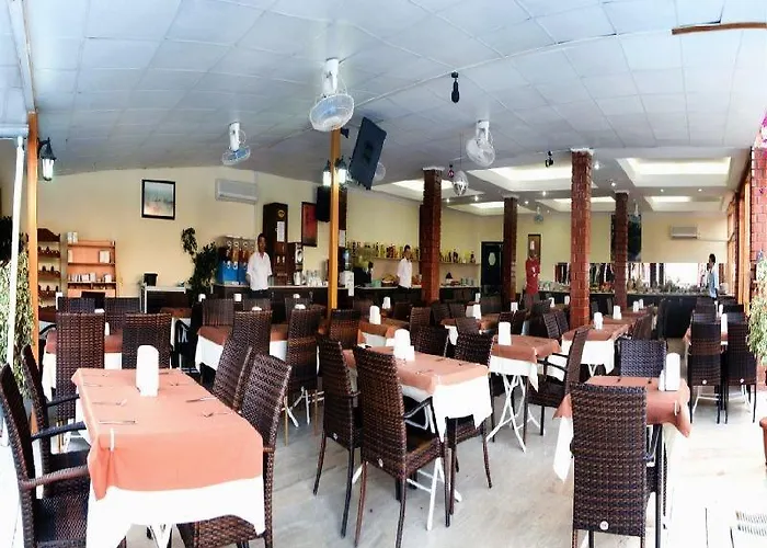 ホテル Dynasty 3*