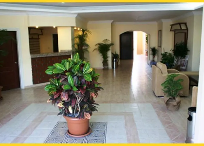 ホテル Dynasty 3*