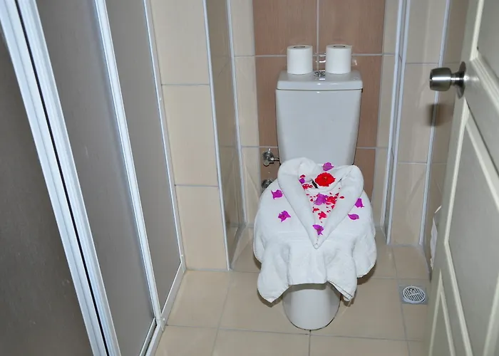 Dynasty ホテル シダ